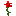 flowerred :flowerred: :flowerred: