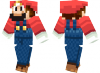 img_mario.png
