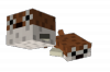blowfish.png blowfish.png