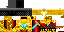 sar1.png