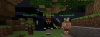 Costum NPC.png