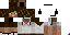 5.2.png