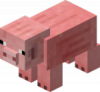 Pig.png