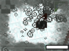 1359833784_2013-02-02_23.33.50.png