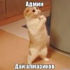 qtkrxy.jpg