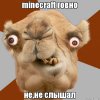 ucvcbd.jpg