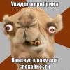 9qe5y0.jpg