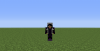 2013-06-09_13.31.46.png