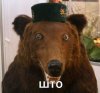 @што.jpg