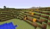 images-9.jpeg