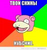 2976688.jpg