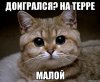 pidrila-ebanaya_27433090_orig_.jpeg
