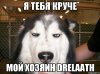 fy_27449595_orig_.jpg
