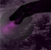 Ender-dragon.jpg