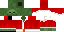 skin_2013121001102929603.png