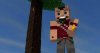 1367943495_minecraft-010.jpg