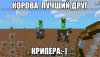 GzT8iJBqqaQ.jpg