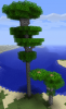 1333325276_eucalyptus.png 1333325276_eucalyptus.png