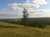 20140824_170205.jpg