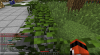 2015-03-13_17.19.11.png