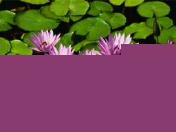 2015-06-06_15.58.07.png