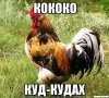 petuh_8098102_orig_.jpeg