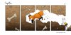 stupidfox___57_by_silentreaper-d4c02wz.jpg