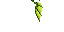 elytra(2).png elytra(2).png