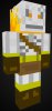 skin_2012062207254317053.jpg