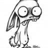 Dog13