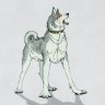 wolkodav
