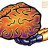 BrainHot