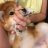 laky_kfrb